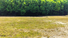 Vente
                                                                                Terrain - 2840m ²