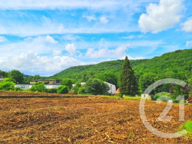 
                                                                                        Vente
                                                                                         terrain