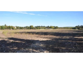 
                                                                                        Vente
                                                                                         Terrain à vendre à vocation hôtelière de 18.500 m² divisible à partir de 9000 m² proche d'Avignon en Provence dans le Vaucluse