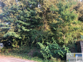 Vente
Terrain constructible boisé 930 m2