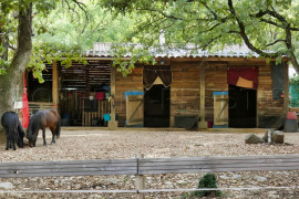 
                                                                                        Vente
                                                                                         VAR FAYENCE PROPRIETE 6800 M² ET VILLA 180 M²