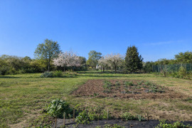 
                                                                                        Viager
                                                                                         Viager occupé à Saint Paul les Dax
