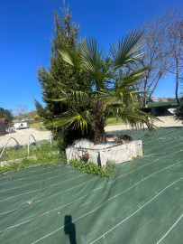 Vente
Villa coup de coeur à saisir