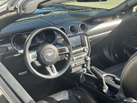 
                                                                                        Voiture
                                                                                         Voiture Cabriolet - Ford Mustang CABRIOLET V8 5.0 BVA10 / GT - 51970€