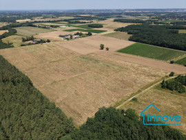 10 hectares de terres agricoles avec puits — région du Fronto Fronton