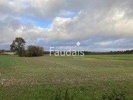 12 hectares agricoles loués st germain d elle