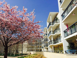 a louer f2 donnant sur parc paul verlaine nancy