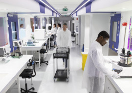 À louer – Laboratoires de 70 m² au sein de GATEx à Evry-Courcouronnes – Essonne (91) Évry-Courcouronnes