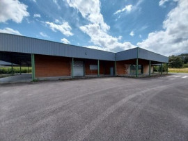 À vendre – Bâtiment industriel de 2 500 m² à Remomeix – Vosges (88) Remomeix