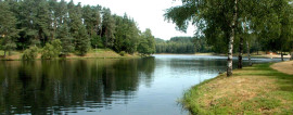 À vendre - Camping-Bar-Restaurant de 75 emplacements à Egletons - Corrèze (19) Égletons