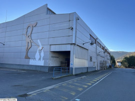 À vendre ou à louer – Site industriel de 7 471 m² à Viviez – Aveyron (12) Viviez