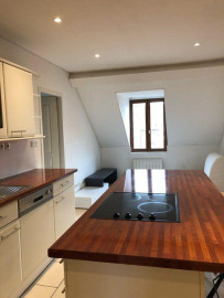 Appartement centre ville T2 avec vue Grenoble