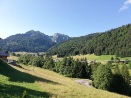 Appt au calme dans chalet : jardin et vue montagne Abondance