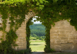 AUDE DOMAINE 170 HA LAC GÎTES Carcassonne