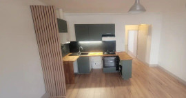Beau 2P 45m² lumineux Saint-Étienne
