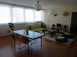Beau 2P bis 69m² style loft Strasbourg
