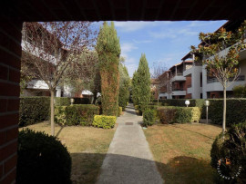 Beau 2P meublé 37m² avec terrasse Toulouse