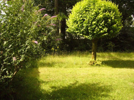 Beau studio 24m² donnant sur jardin Nantes Nantes