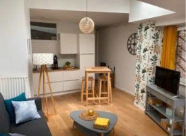 Beau studio meublé 31m² récent avec terrasse 16m² Lille