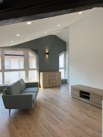 Beau studio type loft Nancy