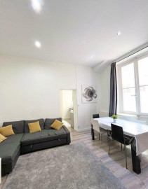 Beau T3 50m² entièrement rénové et meublé Lyon 2ème