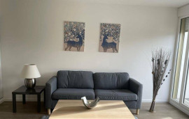 Chambre dans une colocation 93m² Châtenay-Malabry