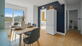Chambre en Coliving avec Terrasse / Paris 15e Morillons (loyer tout inclus) Paris