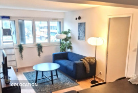 Colocation lumineuse et entièrement équipée Massy