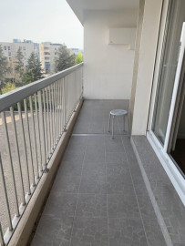 DANS UN PARC ARBORE à PROX de TOUT Lyon 7ème