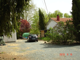 elevage canin petite race Saint-Denis-du-Pin