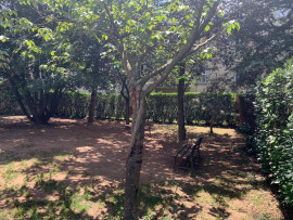 GRAND APPARTEMENT T2 BIS MONTPLAISIR LYON 69008 Lyon 8ème