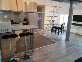 GRAND STUDIO AVEC MEZZANINE ET TERRASSE Jouars-Pontchartrain