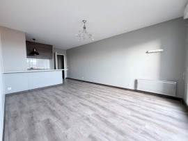 HOPITAL CENTRAL - 2 pièces à vendre Nancy