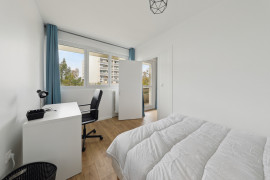 Jolie colocation refaite à neuf argenteuil