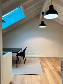 Loue grand studio sous-combles Cachan