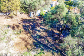 NICE Cimiez - Terrain constructible Nice