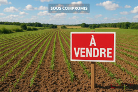 Pignan (34570) Terrain Agricole ou Loisir Pignan