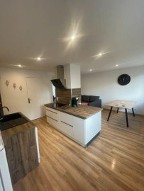 T3 rénové, équipé et meublé 55m² coloc possible Grenoble