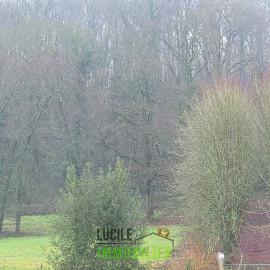 TERRAIN NATUREL Breuil-le-Vert