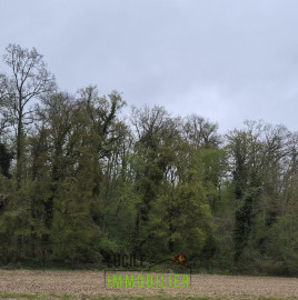 TERRAIN NATUREL Breuil-le-Vert