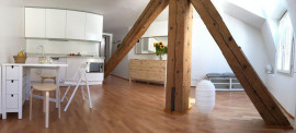 Très bel appartement - 30 m2 - centre ville Lyon 1er