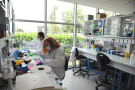 À louer – Laboratoires standards et L2 de 12 à 80 m² dédiés à la Biotech à Évry-Courcouronnes – Essonne (91) Évry-Courcouronnes