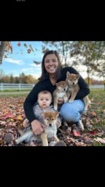 Adorables chiots Shiba inu à donner La Francheville