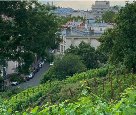 Appartement 1 pièce Paris 19ème