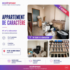 Appartement  cosy et lumineux - 41m2 - Lyon 7 Lyon 7ème