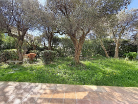 Appartement familial et son merveilleux jardin agrémenté de beaux oliviers. Nice