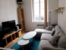 Appartement lumineux, salon orienté sud. Reims