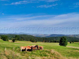 ARDECHE PROPRIETE 460 M² VUE EXCEPTIONNELLE Le Lac Issarlès