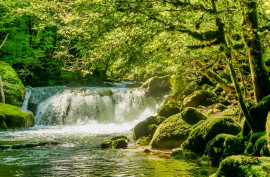 AUDE PROPRIETE ECOLOGIQUE GITES 180 HA Limoux