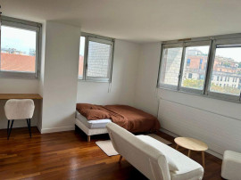 Beau studio rénové 31m² sans vis à vis Paris 15ème